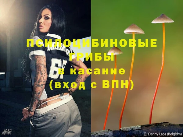 дмт Абинск